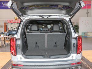 2022I(lng)ϵ 2.0TGDI (q)A(lin)  g