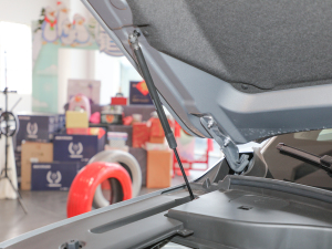 2022I(lng)ϵ 2.0TGDI (q)A(lin)  