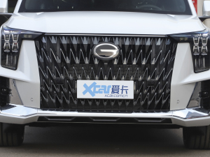 2022pϵ 2.0TM F  оW