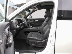 2022pϵ 2.0TM F  ǰſg