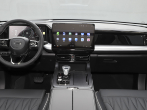 2022pϵ 2.0TM F  п_