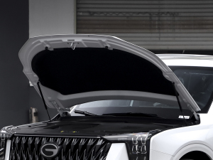 2022pϵ 2.0TM F  lәCœ