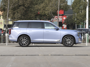 2022pϵ 2.0TM F  ȣң