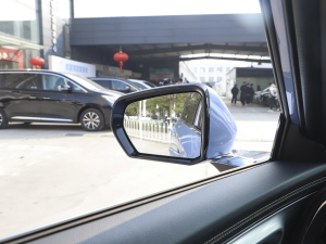 2022pϵ 2.0TM (q)F  (ji)^