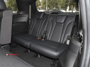 2022pϵ 2.0TM (q)F  g