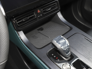 2022pϵ 2.0TM (q)F  g