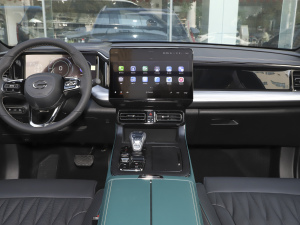 2022pϵ 2.0TM F  п_