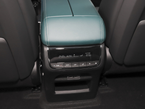 2022pϵ 2.0TM (q)F  п؅^(q)