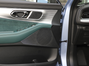 2022pϵ 2.0TM (q)F  п؅^(q)