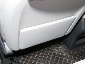 2022pϵ 2.0TM (q)Ş  g