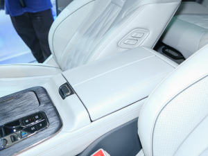 2022pϵ 2.0TM (q)Ş  g