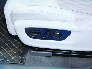 2022pϵ 2.0TM (q)Ş  g