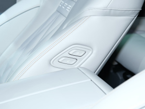 2022pϵ 2.0TM (q)Ş  g