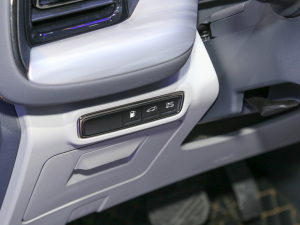 2022pϵ 2.0TM (q)Ş  g