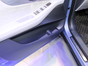 2022pϵ 2.0TM (q)Ş  g