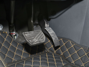 2022pϵ 2.0TM (q)Ş  п؅^(q)