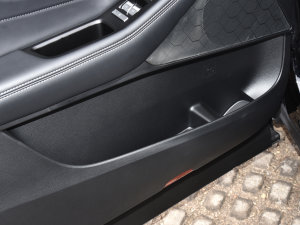 2022Iϵ 2.0TGDI   ǰTg