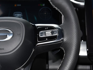 2022I(lng)ϵ 2.0TGDI (q)  п؅^(q)