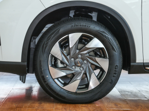 2022270T քӾӢ ݆Ȧ