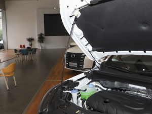 2022270T Ԅ(dng)I(lng) 