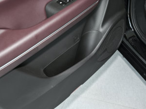 2023PRO 270T DCTӢ ǰTg