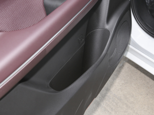 2023PRO 270T DCT ǰTg