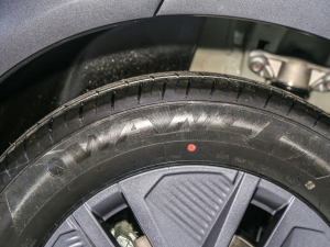 2022ȼͰ ԇb܇ ݆̥Ʒ