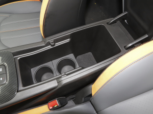 2022270T ӰJ16 R-styleِ g