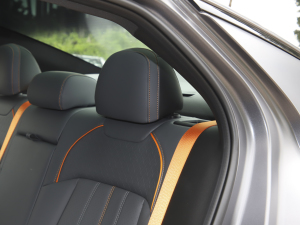 2022270T ӰJ16 R-styleِ g