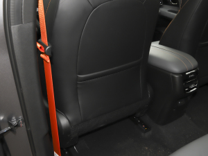 2022270T ӰJ16 R-styleِ g