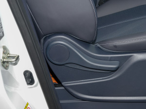 2023I(lng)ϵ 390T F g