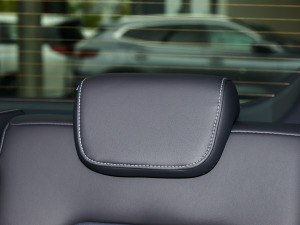 2023I(lng)ϵ 390T F g