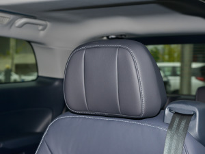 2023I(lng)ϵ 390T F g