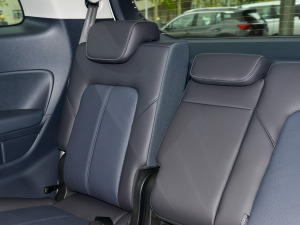 2023I(lng)ϵ 390T F g