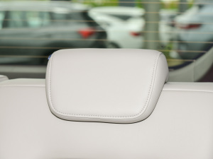 2023I(lng)ϵ 390T  g