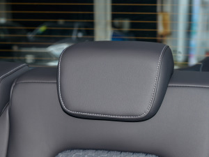 2023I(lng)ϵ 390T A g