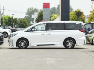 2023款大师系列 390T 尊贵版 正侧（左）