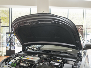 2023400T ԄR MAX lәCœ