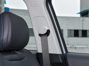 2023390T Ԅ(dng)ϵ g