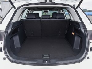 2023390T Ԅ(dng)ϵ g