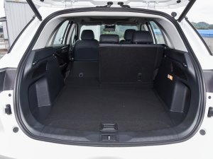 2023390T Ԅ(dng)ϵ g