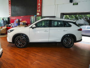 2023款390T 自动星云版 正侧（左）