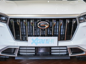 2023款390T 自动星云版 中网