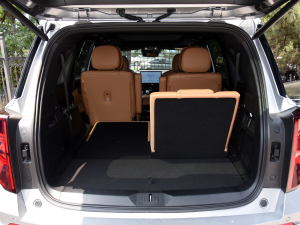 2024pϵ 2.0TM (q)F g