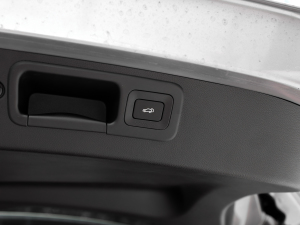 2024pϵ 2.0TM (q)F g