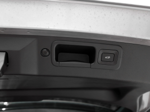 2024pϵ 2.0TM (q)F g