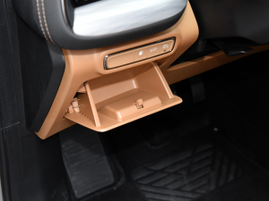 2024pϵ 2.0TM (q)F g