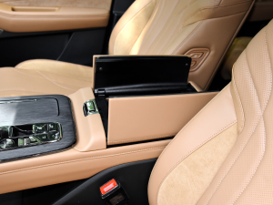 2024pϵ 2.0TM (q)F g