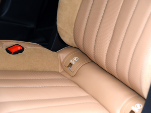 2024pϵ 2.0TM (q)F g