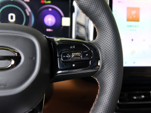 2024pϵ 2.0TM F п؅^